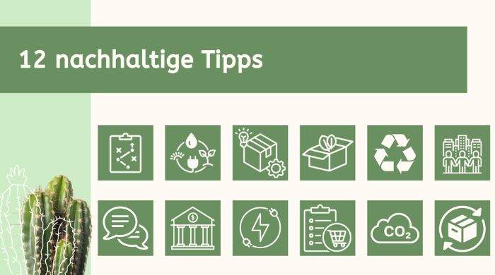 12 nachhaltige Tipps