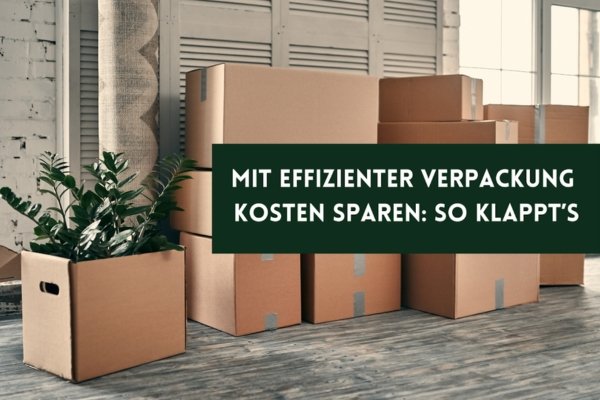 Mit effizienter Verpackung Kosten sparen: So klappt’s