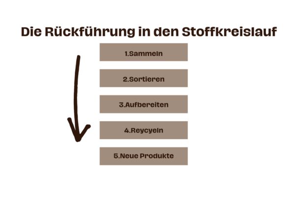 5 Schritte zur Rückführung in den Stoffkreislauf von Karton und Pappe für die Herstellung neuer Kartons