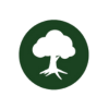Nachhaltigkeit Baum Symbol