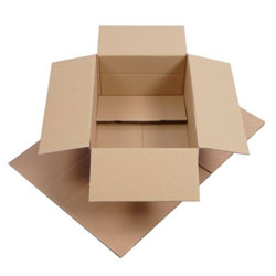 DPD Paket M