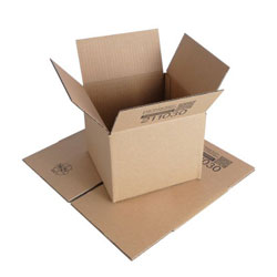 DHL Paket S