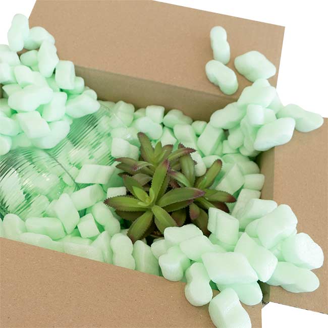grüne flopak Verpackungschips im Karton