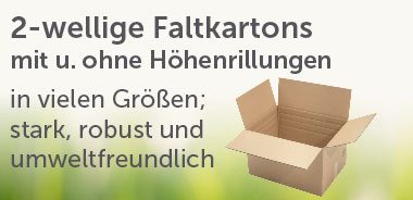 2-wellige Faltkartons bei enviropack.de kaufen