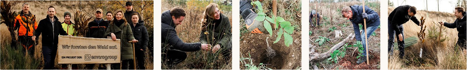 Projekt von enviropack: heimische Wälder aufforsten 