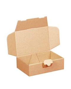 Maxibriefkarton 152 x 101 x 46 mm