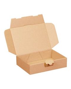 Maxibriefkarton 172 x 121 x 41 mm