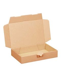 Maxibriefkarton 232 x 151 x 41 mm