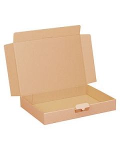 Maxibriefkarton 312 x 216 x 46 mm