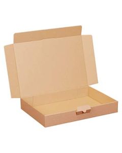 Maxibriefkarton 336 x 245 x 46 mm