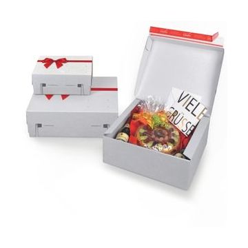 Geschenkbox 241 x 166 x 94 mm Geschenkbox 241 x 166 x 94 mm