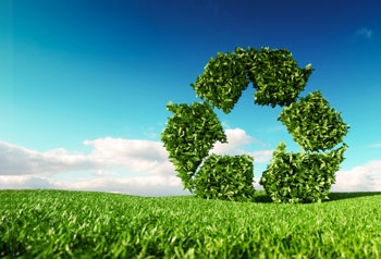 Umweltfreundliche Papierpolster Nachhaltig verpacken mit enviropack
