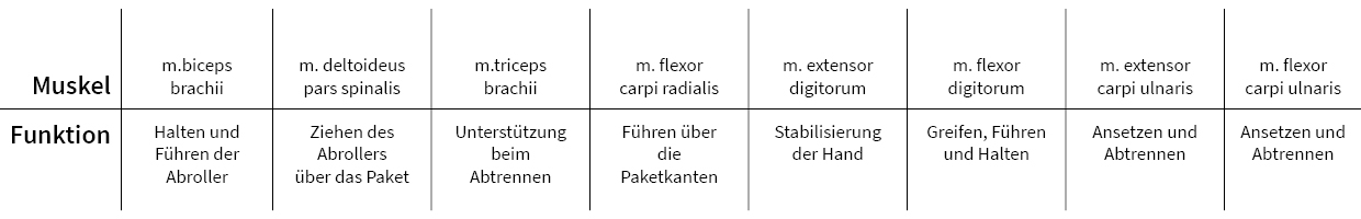 Muskel - Funktion Muskel - Funktion